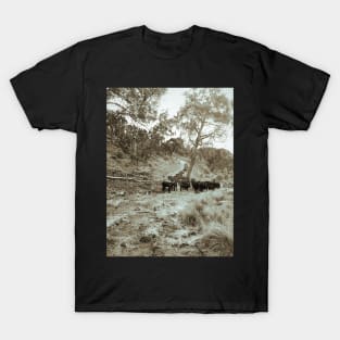 Cattle Country T-Shirt